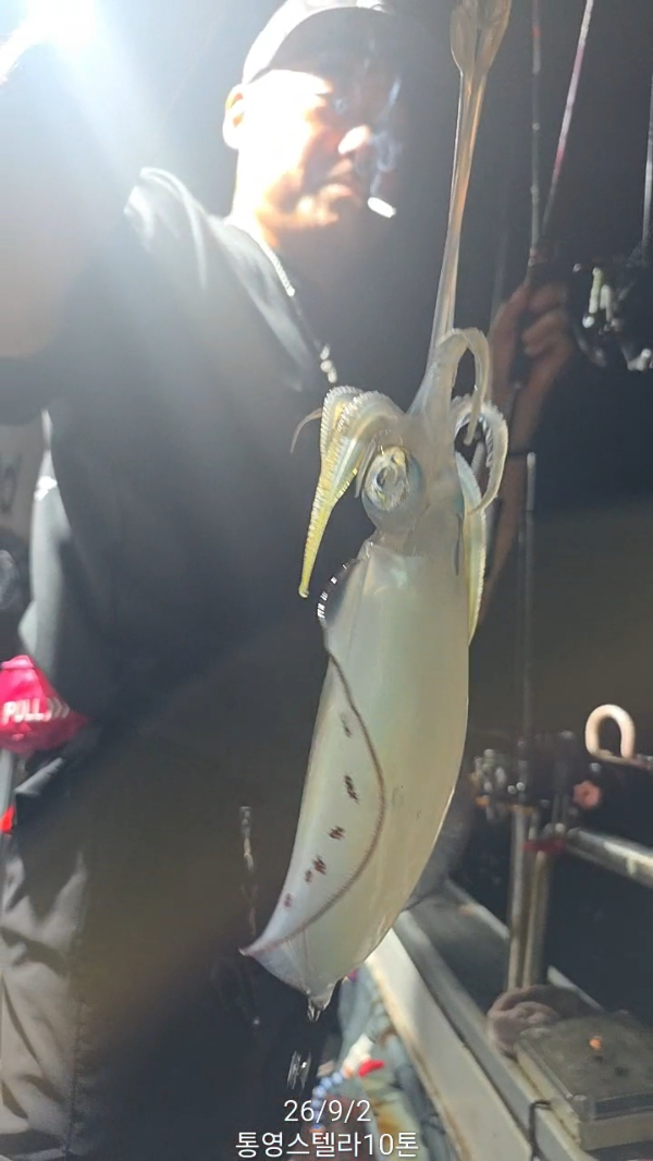TimeVideo_20260902_234215.jpg
