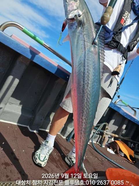 20260912_141200.jpg