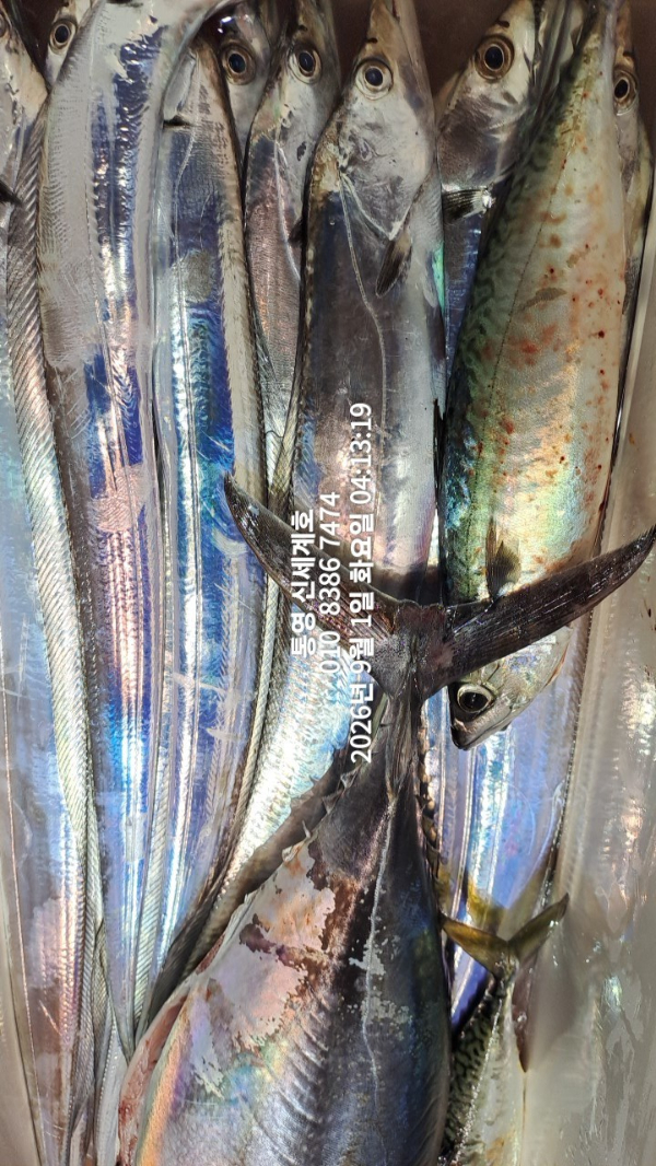 1788213243877.jpg
