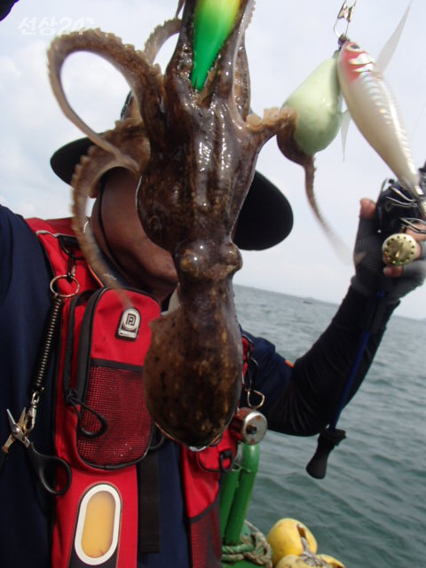 P9180064.JPG