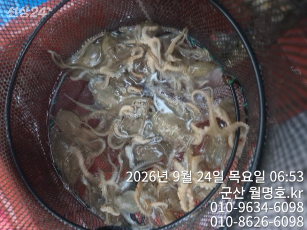 17046.jpg
