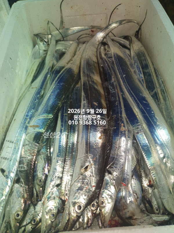 KakaoTalk_20260926_035150822_09.jpg
