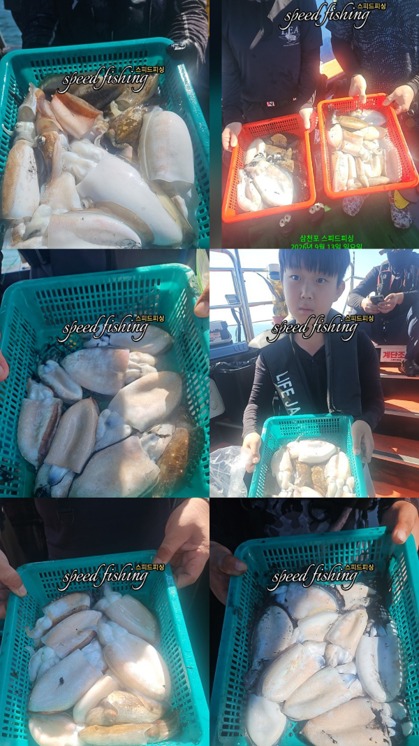 KakaoTalk_20260913_164832932.jpg