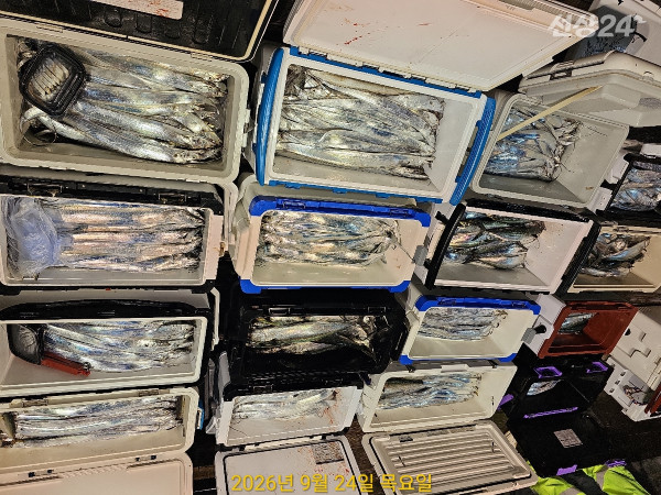 D21522DB-A7C9-44D4-89F5-BEF4F5E3C2A1.jpeg