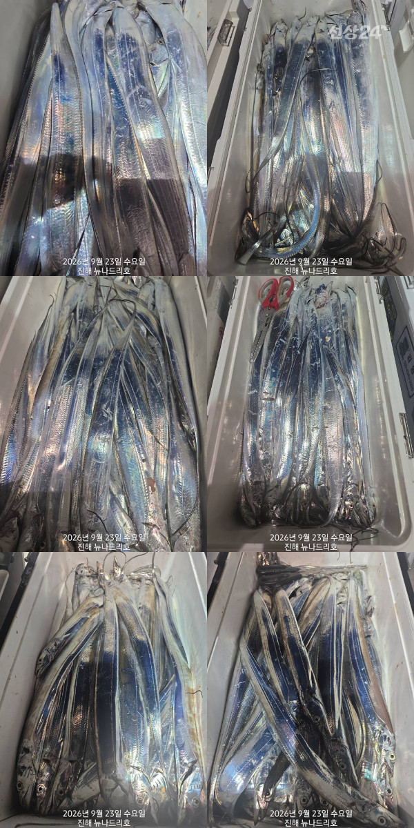 낱1.jpg