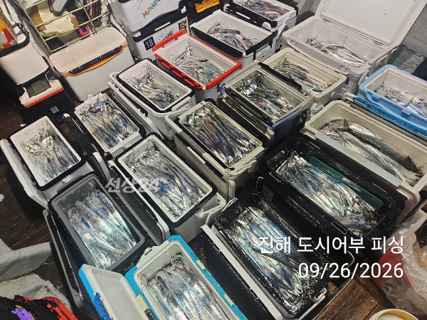 KakaoTalk_20260926_044028225_10.jpg
