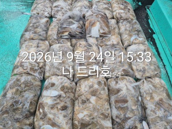 KakaoTalk_20260924_161734361_03.jpg