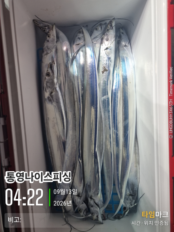 2026-09-13 04.22.53__(통영나이스피싱)_(비고-).jpg
