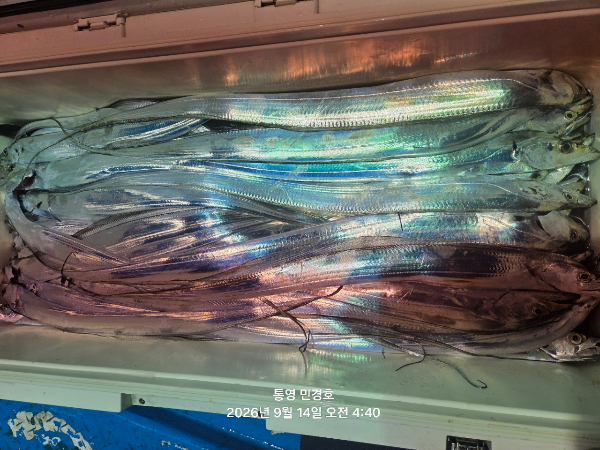 9A0879CA-57B5-46D8-A3FB-E9233CAD8C21.jpeg