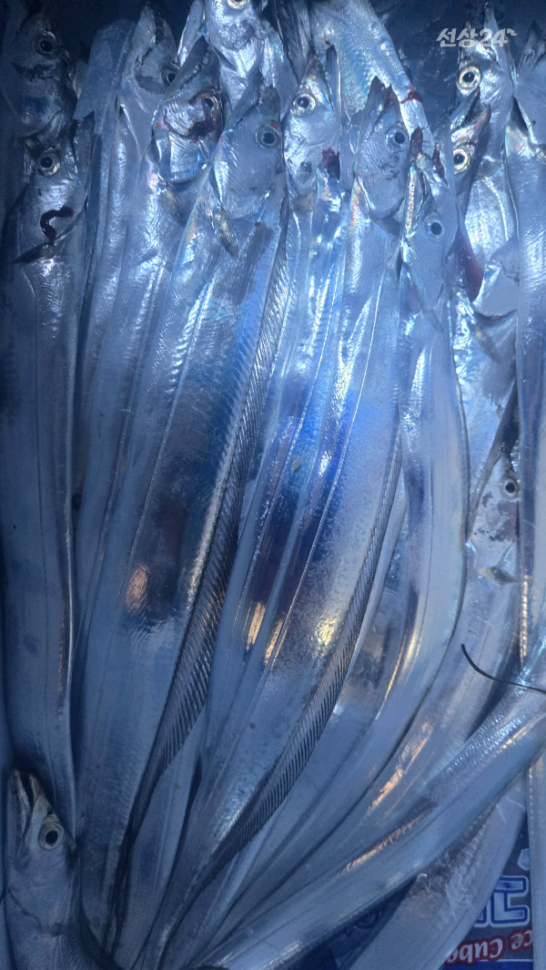 1788913984349.jpg