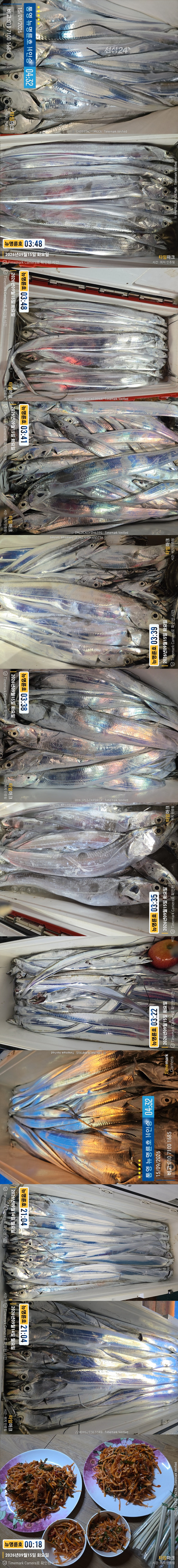 9-15갈치2.jpg