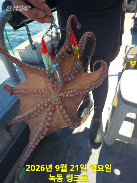 1248.jpg