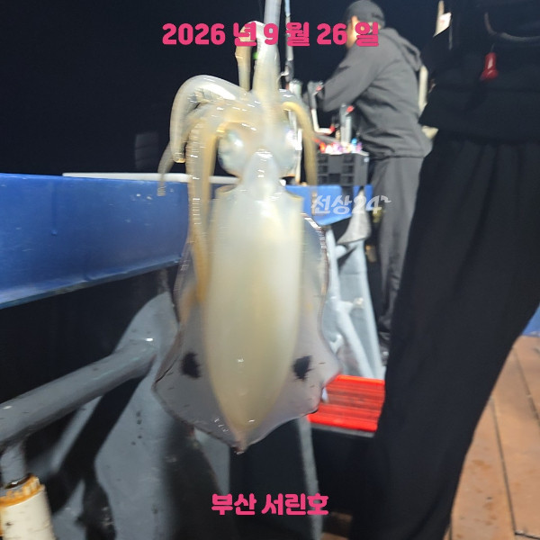 14042.jpg