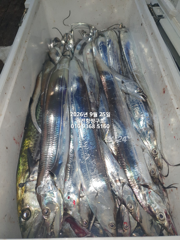 KakaoTalk_20260925_051858452_04.jpg