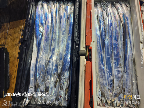 BandPhoto_2026_09_03_07_42_34_9(1).jpg