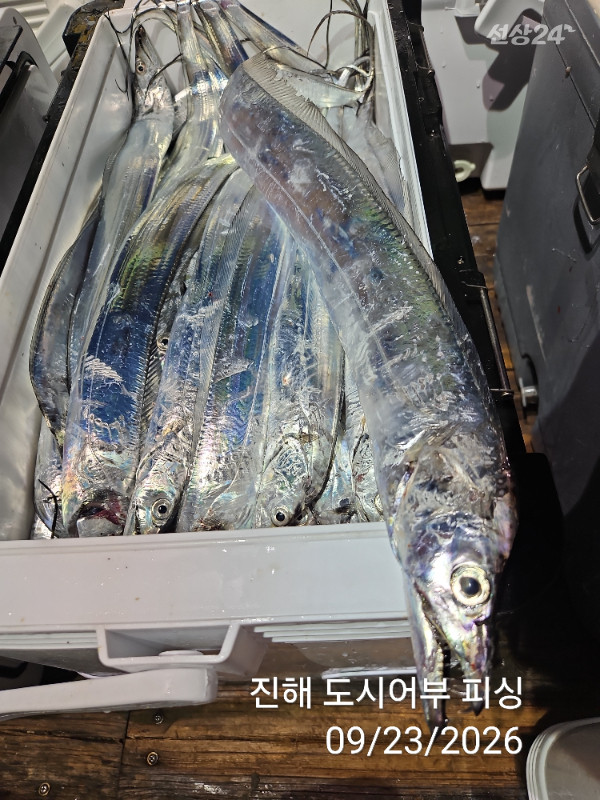 KakaoTalk_20260923_062051575_17.jpg