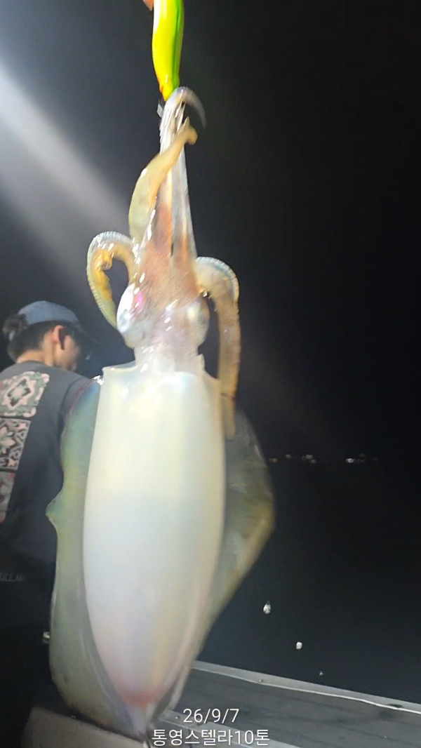 TimeVideo_20260907_204453.jpg