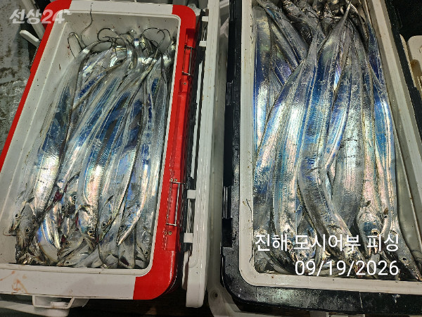 KakaoTalk_20260919_054500726_14.jpg