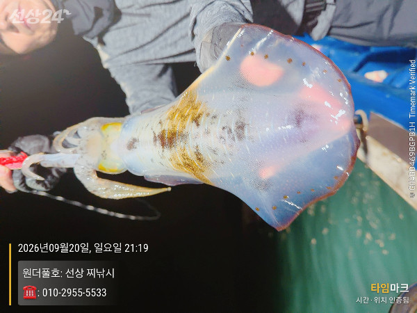 2026-09-20 21.19.31_(원더풀호-선상 찌낚시)_(-010-2955-5533).jpeg