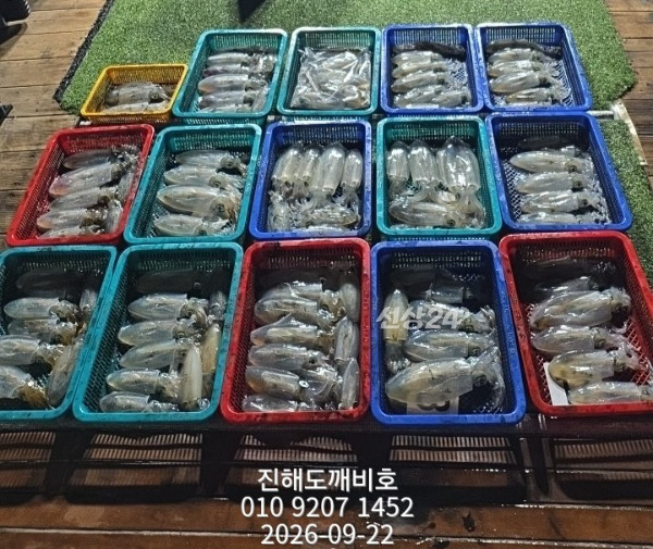 8355.jpg