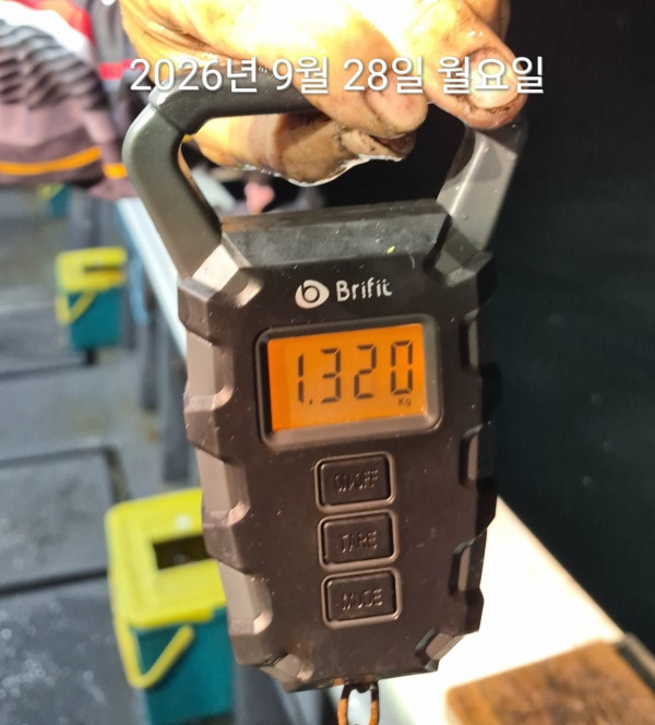 87960.jpg