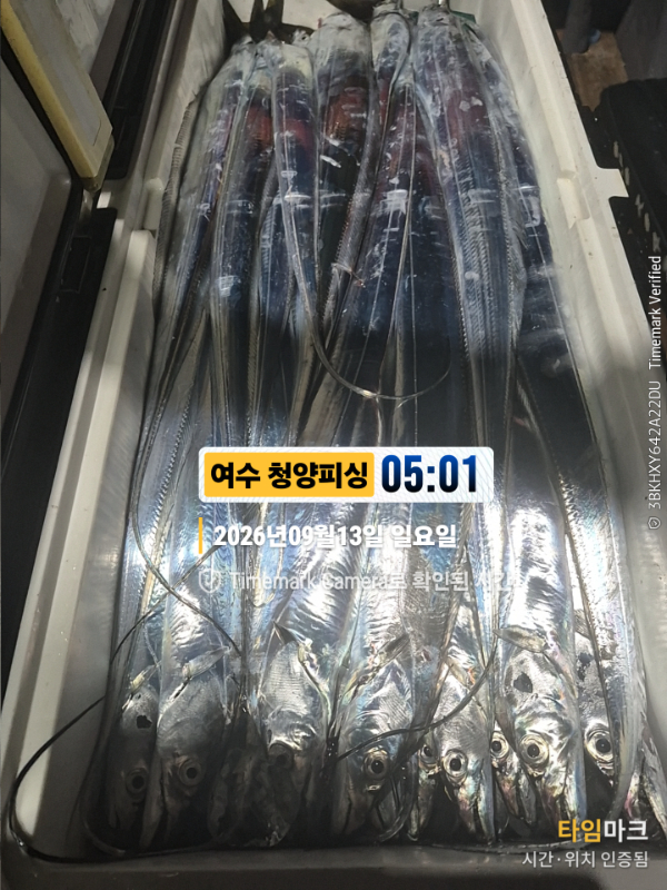 2026-09-13 05.01.57__(제목-여수 청양피싱).jpg