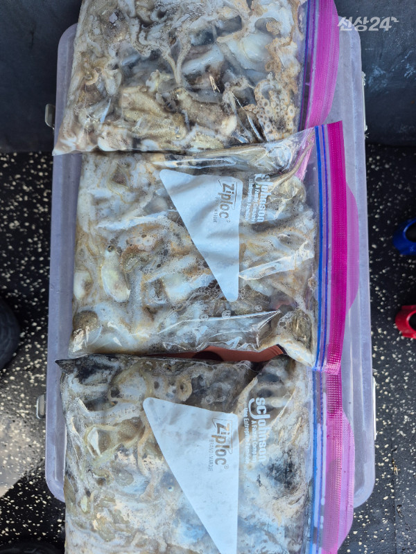 1789731329419.jpg