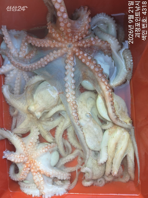 KakaoTalk_20260922_144731260_06.jpg