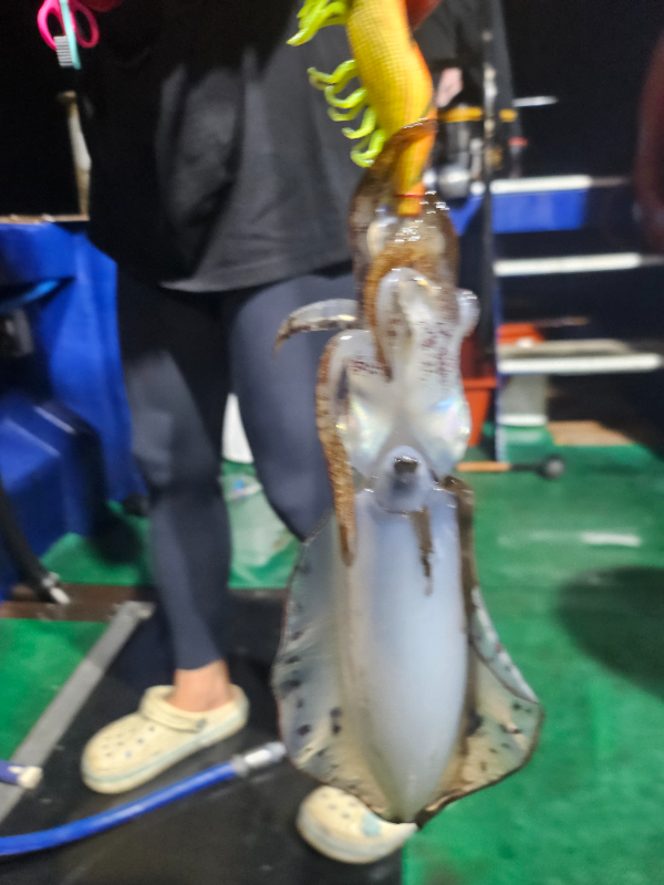 KakaoTalk_20260914_014814524_03.jpg