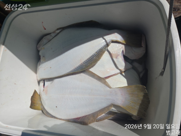 KakaoTalk_20260920_154419933_07.jpg