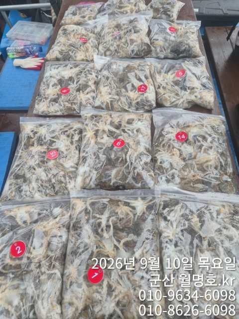 15035.jpg