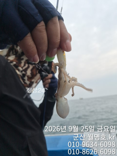 17125.jpg