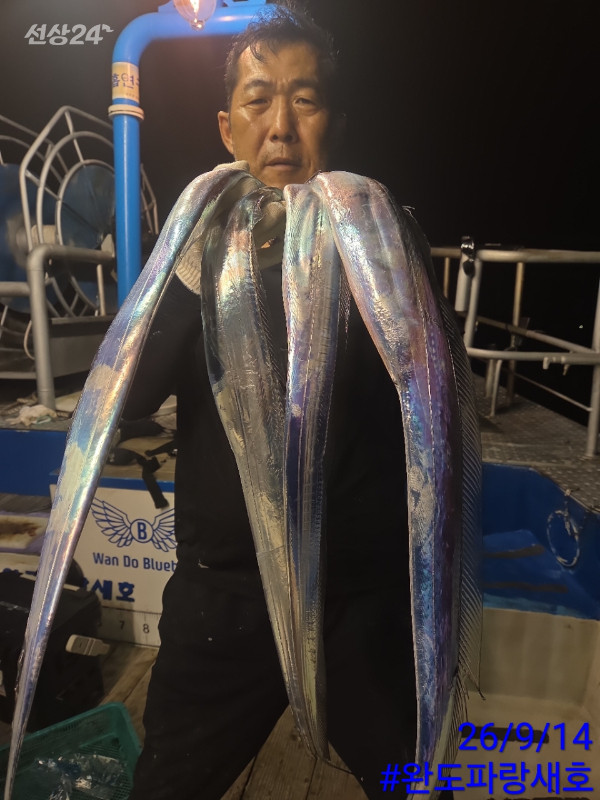 완도파랑새호(블루버드)_사진_20260914_8.jpg
