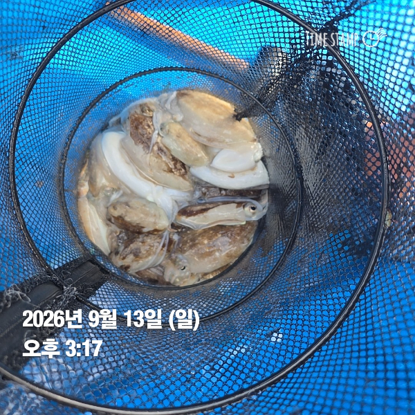 KakaoTalk_20260913_171319208_03.jpg
