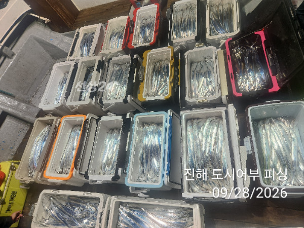 KakaoTalk_20260928_054654622_09.jpg