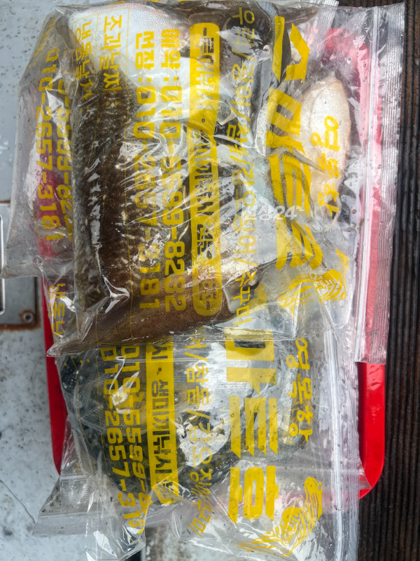KakaoTalk_20260925_182829599_06.jpg