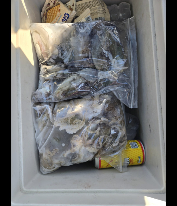 Screenshot_20260921_183038_Gallery.jpg