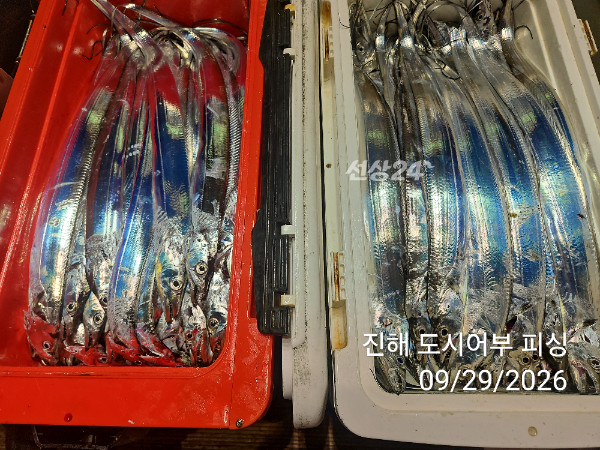 KakaoTalk_20260929_052220398_15.jpg
