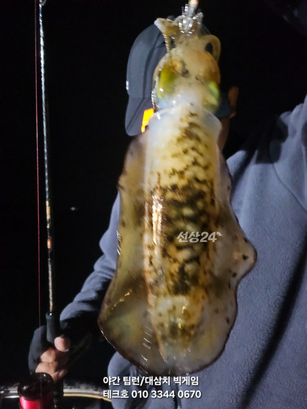 KakaoTalk_20260927_070440410_09.jpg