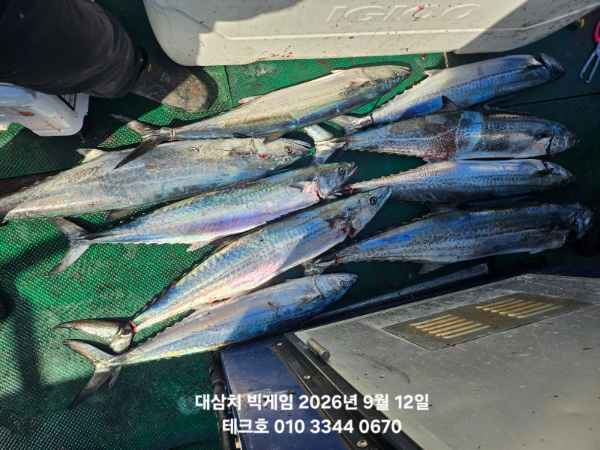 KakaoTalk_20260912_093953532.jpg