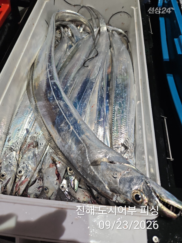 KakaoTalk_20260923_062051575_13.jpg