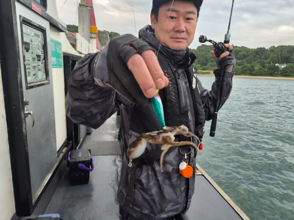 6208.jpg