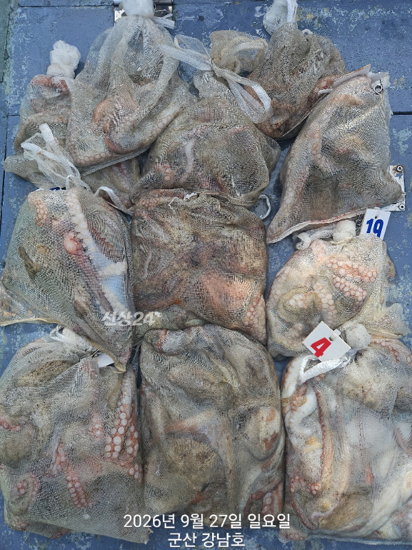 1790507390134.jpg