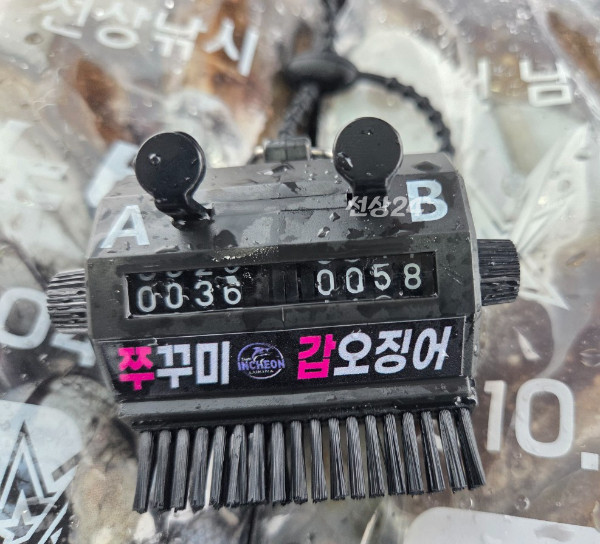 24127.jpg