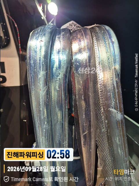 43180.jpg