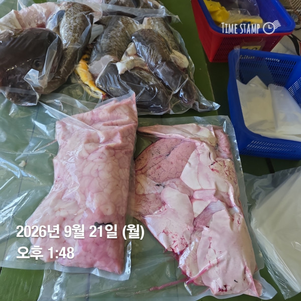 공현진낚시마트(돌핀호)_사진_20260921_10.jpeg