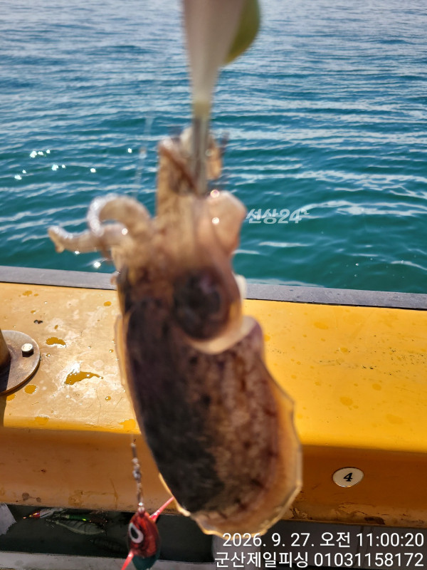 1790506075467.jpg