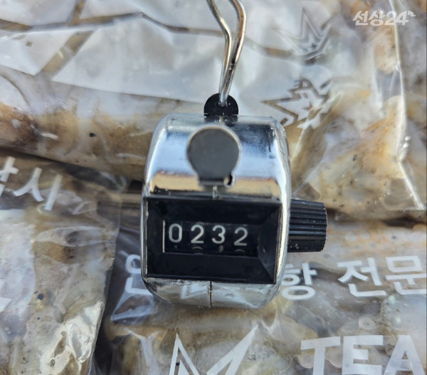 22774.jpg