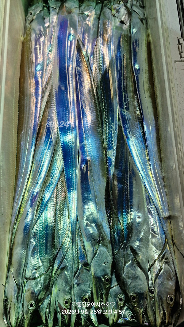 83274.jpg