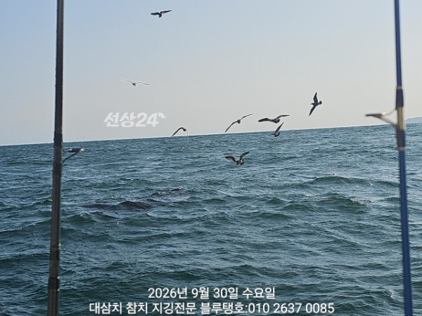 20260930_150937.jpg